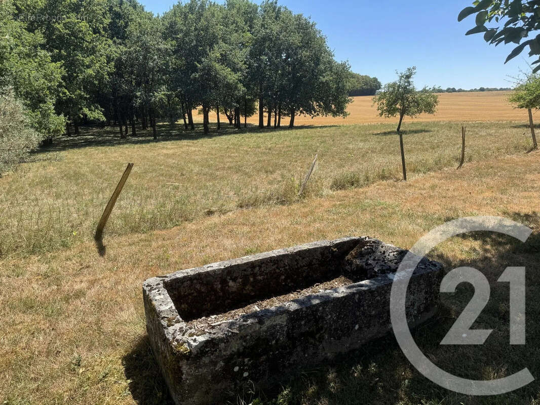 Maison 206 m² à Etais-La-Sauvin  - photo 16