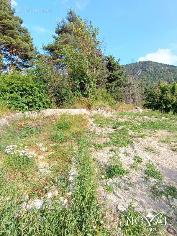 Terrain 1360 m² à Seranon  - photo 3