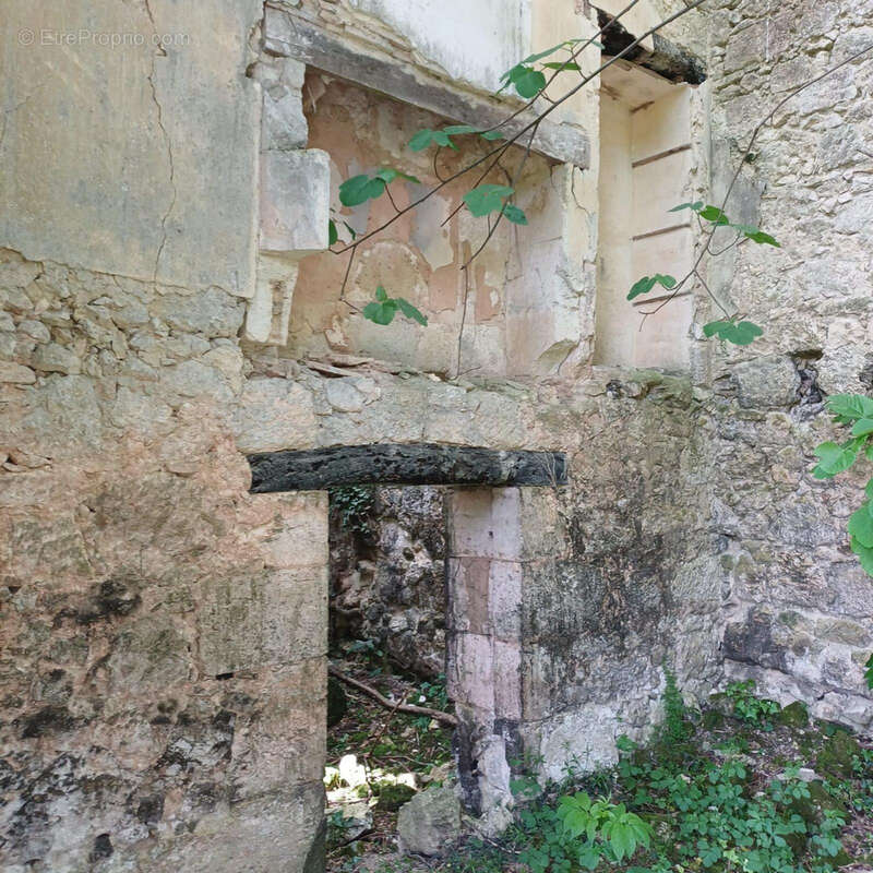 Ancienne Maison de Maître terre et bois 6 Ha - photo 21