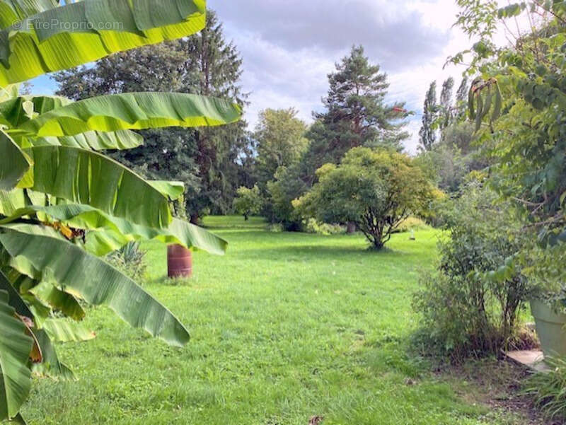 Maison à THORIGNY-SUR-OREUSE