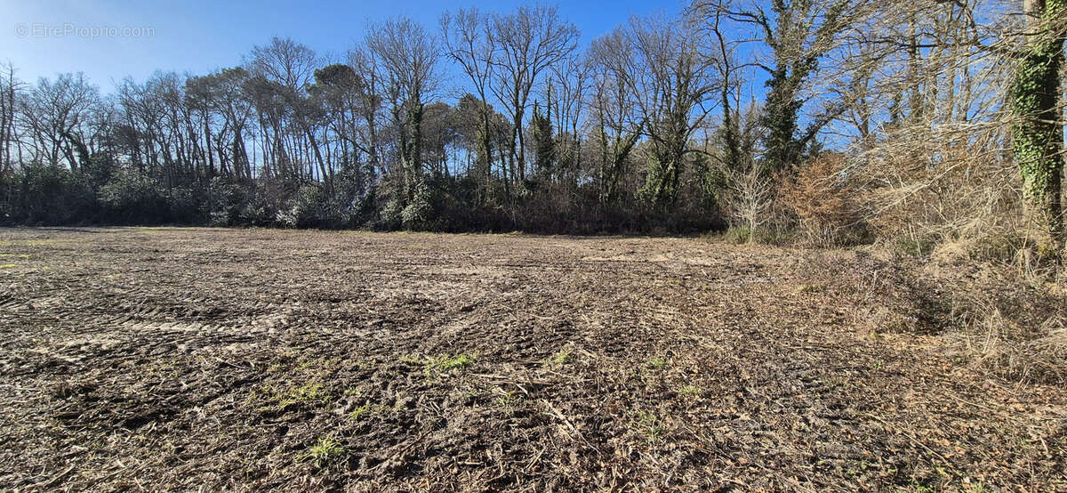 Terrain à SALLES
