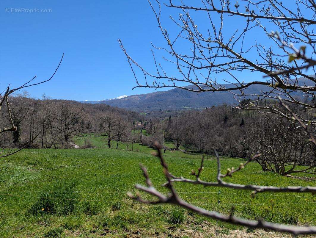 Maison à SERRES-SUR-ARGET