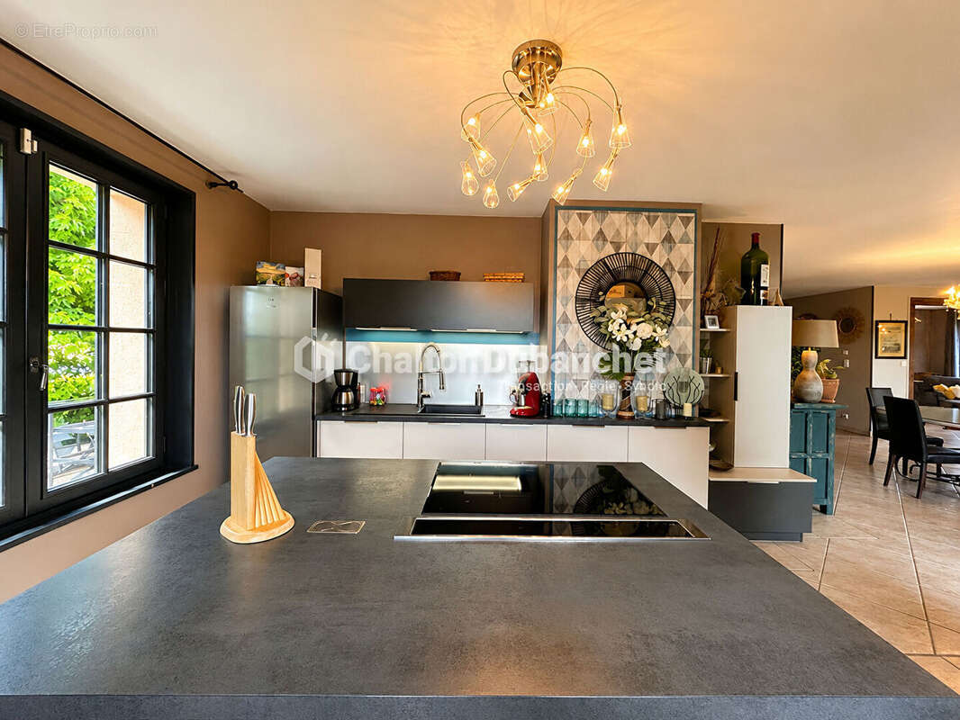 MONTAIGUET EN FOREZ - Maison de 330 m² sur  35000 m² de terrain et deux étangs - photo 15