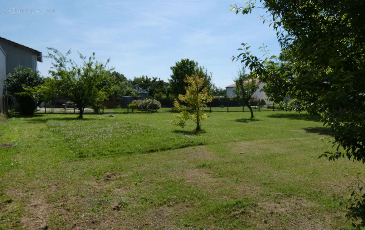 Terrain Medis 539 m2  au prix de 104200 - photo 3