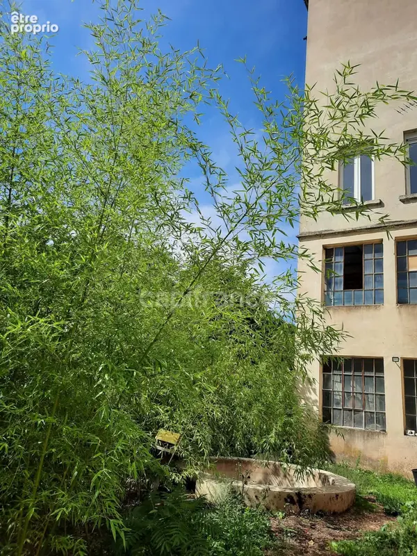 Ancienne diamanterie : un bien atypique au potentiel exceptionnel ! - photo 27