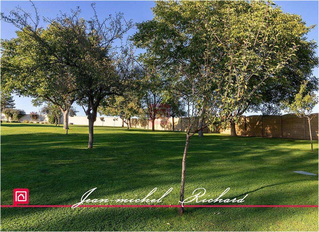 Maison à SELLES-SUR-CHER