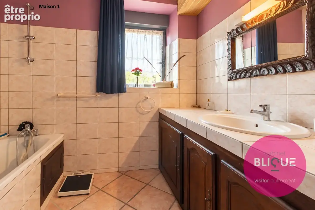 Deux maisons, 8 405 m2 et un champ des possibles - photo 7