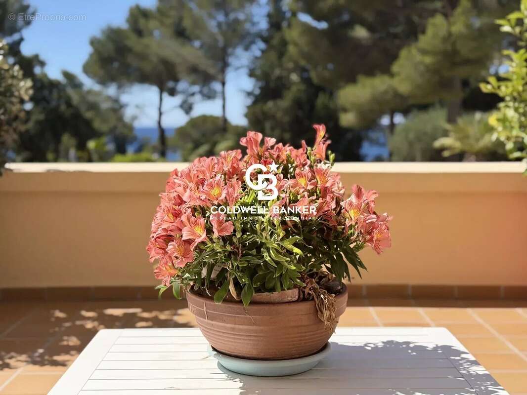 Appartement 124 m² – terrasse 85 m² – vue mer - photo 7