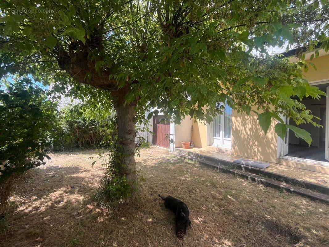 Maison  4 pièce(s) 94 m2 centre ville et plage - photo 2
