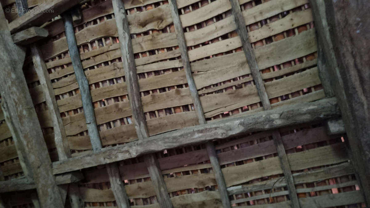 20240926_150909 - Maison à LE BOURDEIX