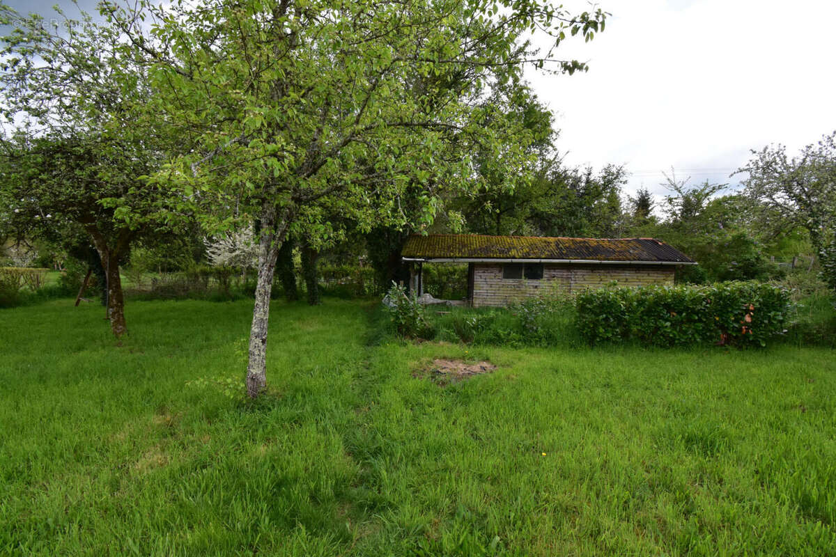 DSC_0010 - Maison à PRESSIGNAC