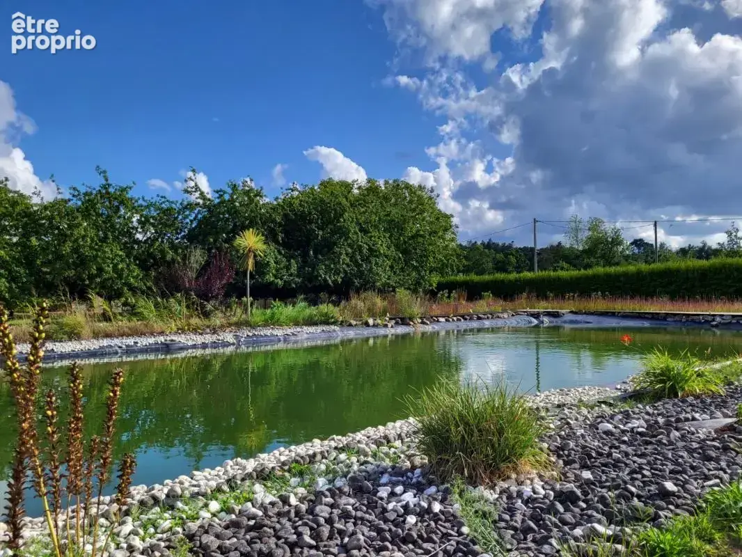 Maison de plain-pied à QUEMPERVEN (22450), piscine naturelle et verger ! - photo 7