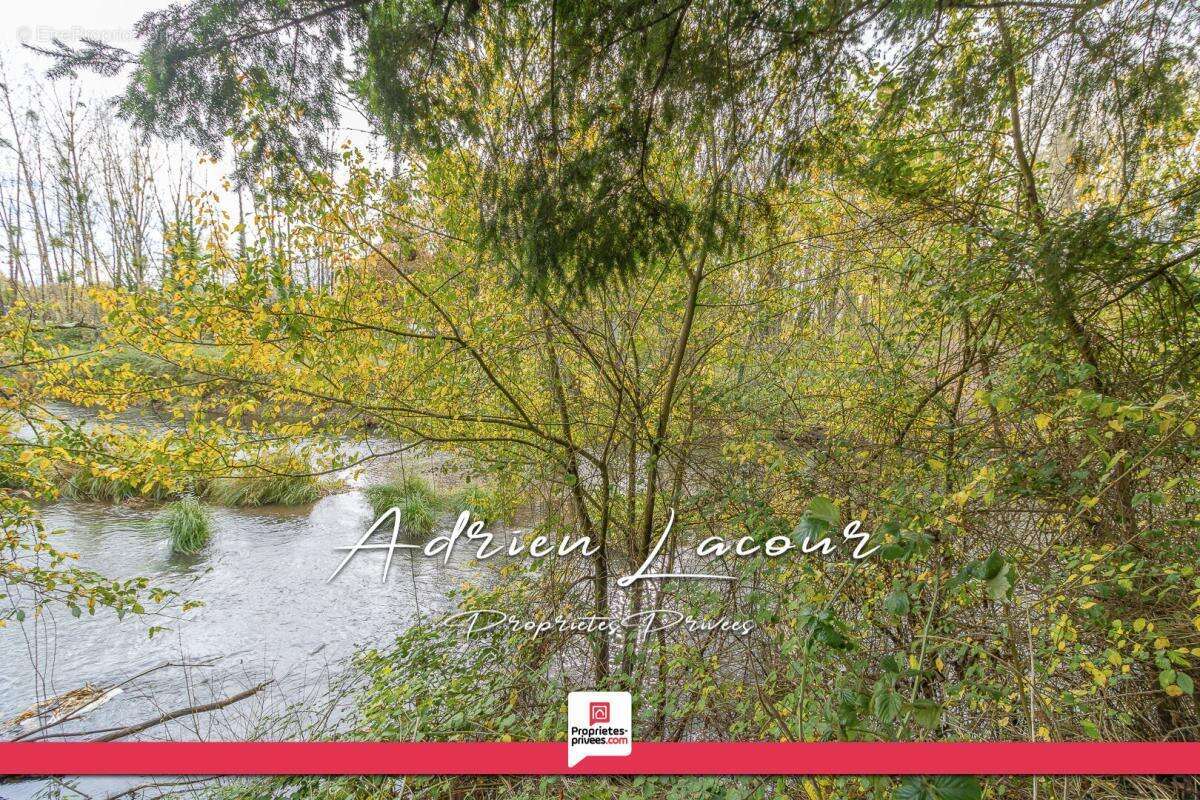 Maison à PRUNIERS-EN-SOLOGNE