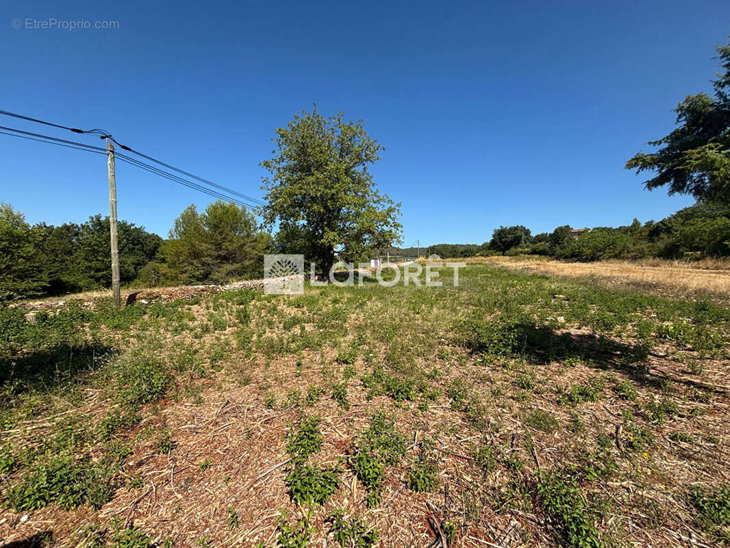 Terrain à BRUE-AURIAC