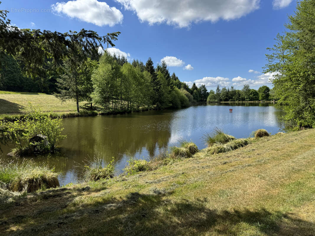 Ensemble de 2 grands etangs dans le morvan - photo 4