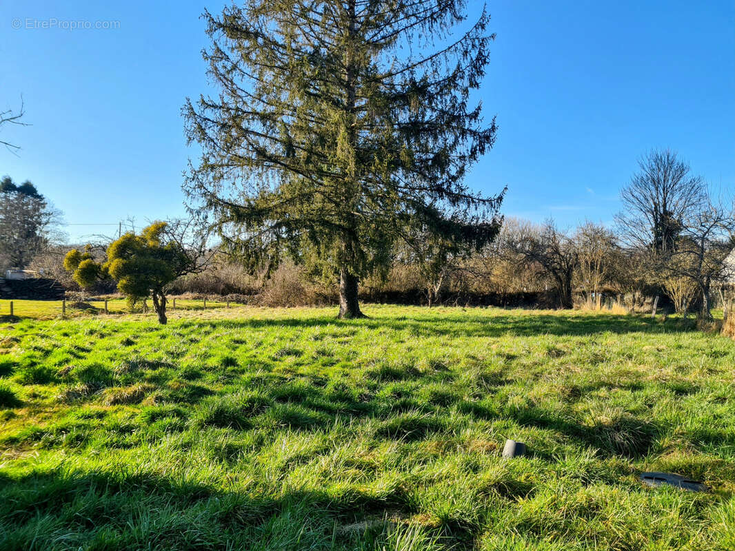 Maison à BEAUMONT-LA-FERRIERE