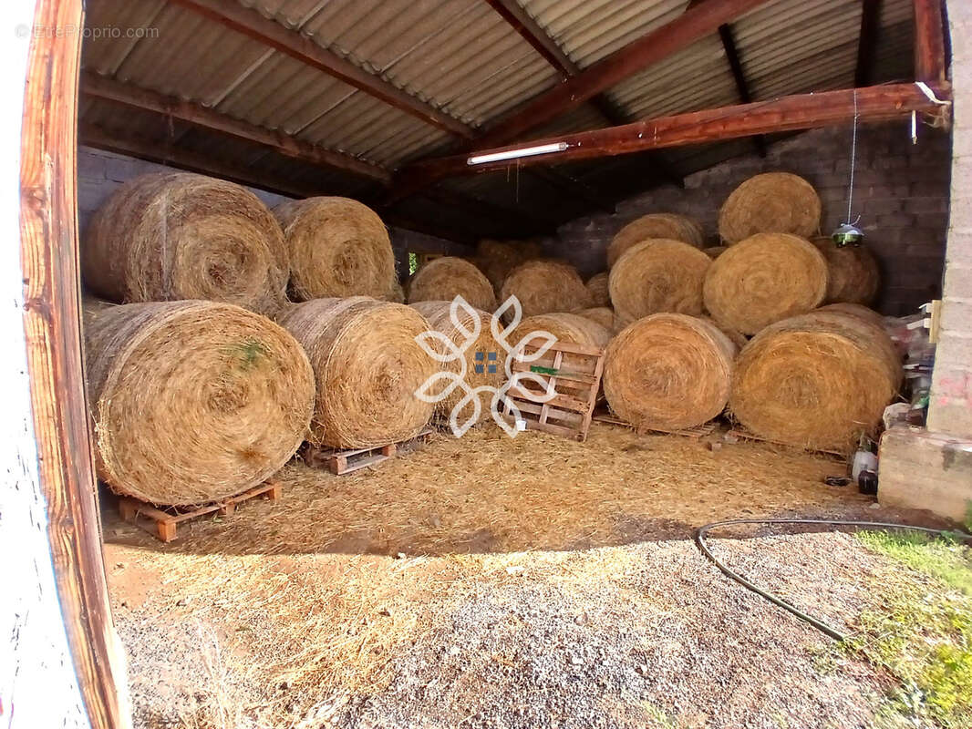 Maison avec dépendances et terrain à Javaugues - photo 12