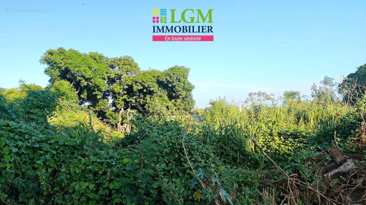 Terrain à SAINT-PIERRE