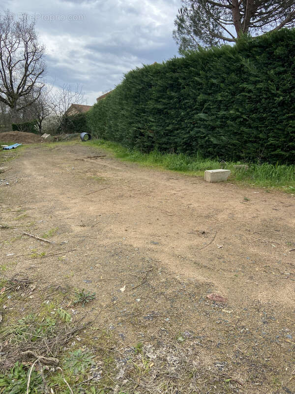 Terrain à MONTFAUCON-MONTIGNE