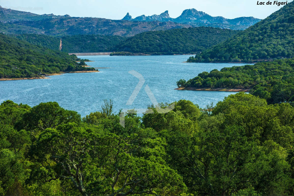 Terrain à FIGARI