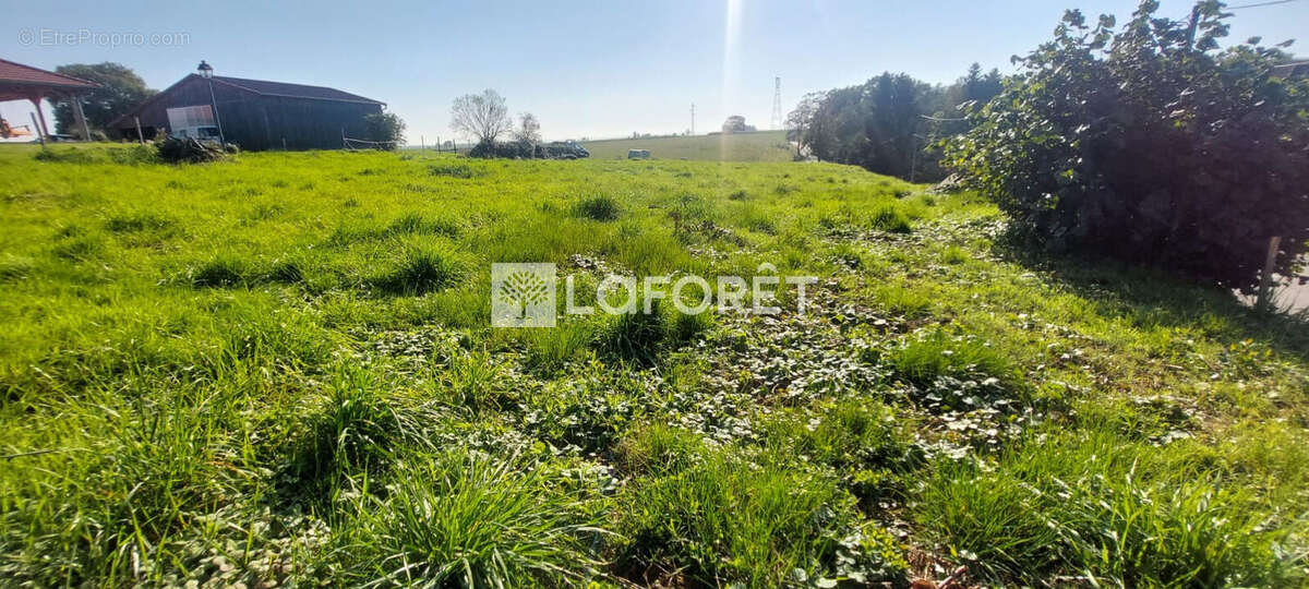 Terrain à CHAVANATTE