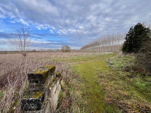 Maison à MONTREUIL-BELLAY