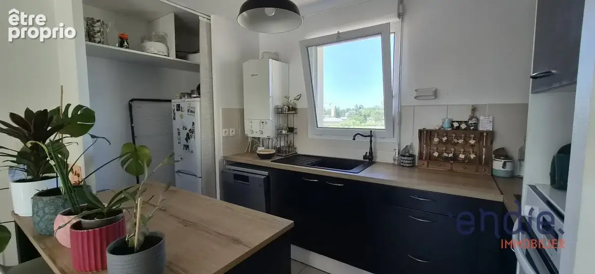 Appartement-Endie Immobilier-Toulouse - photo 2