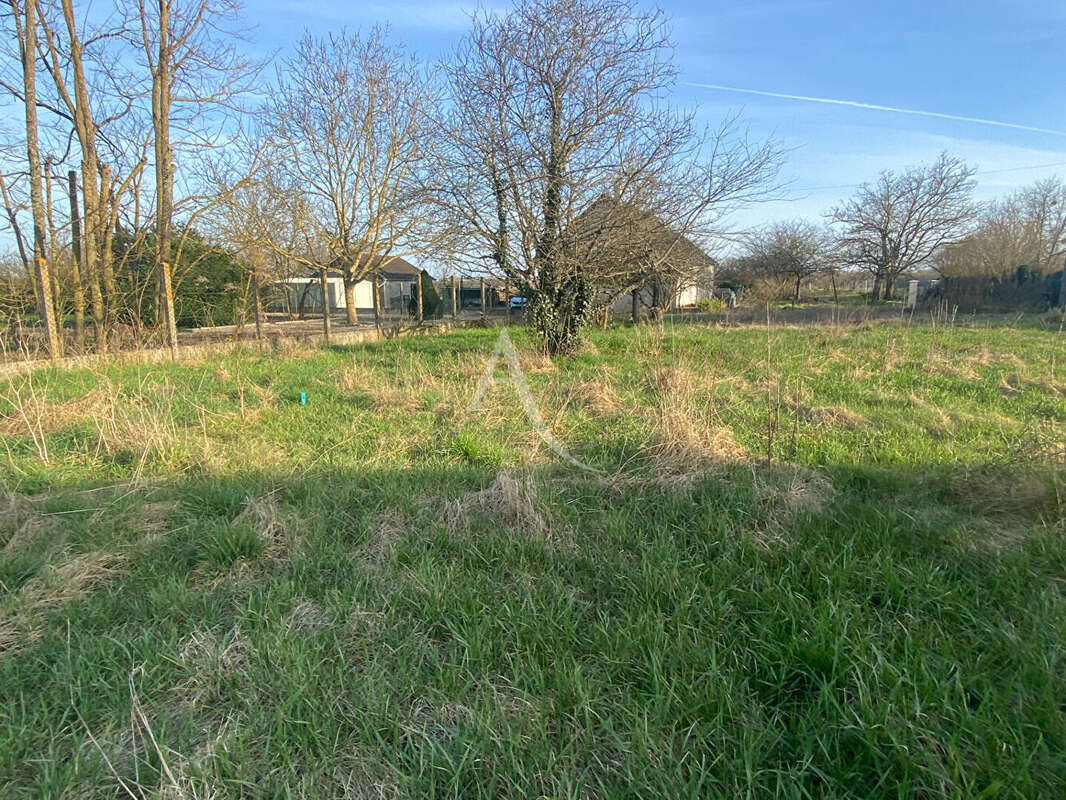Terrain à MONT-PRES-CHAMBORD