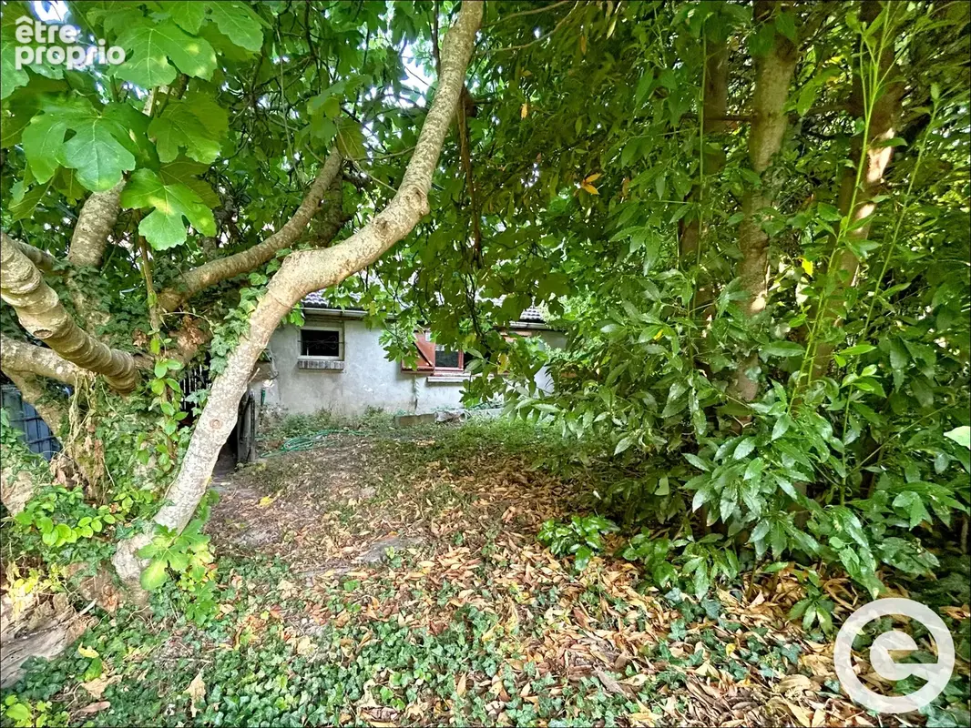 Maison à VILLEMANOCHE