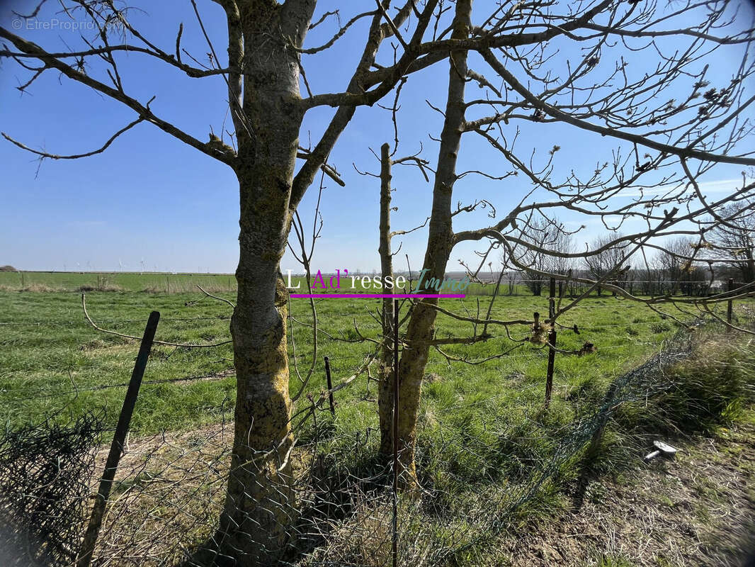 Terrain à CROISILLES