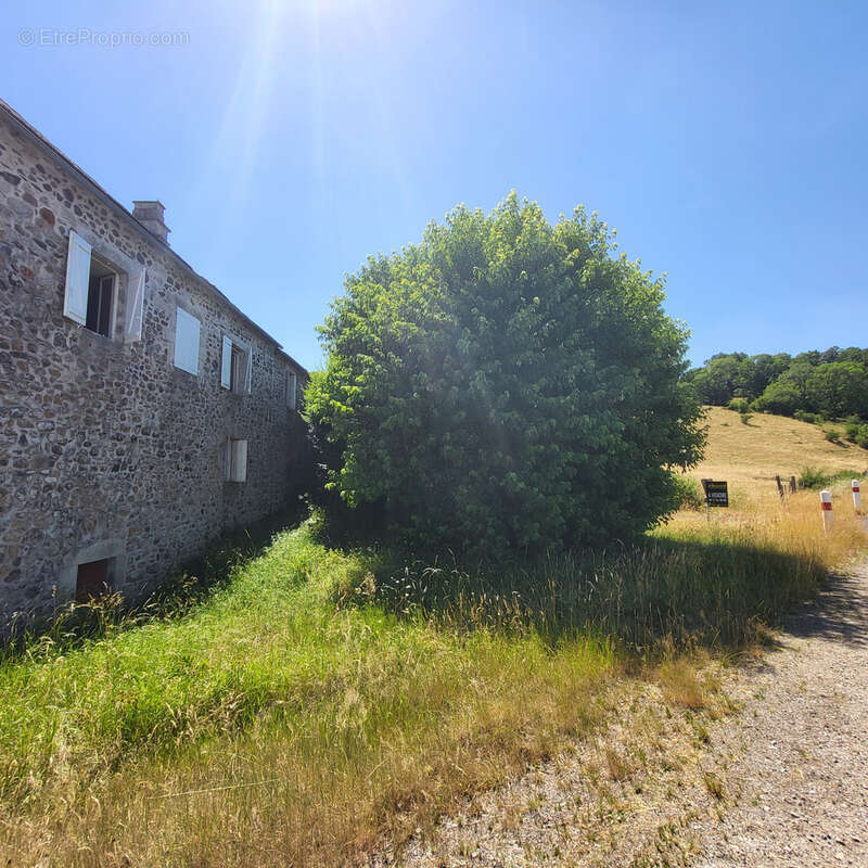 Belle maison en pierres lauzes et ardoises - photo 23