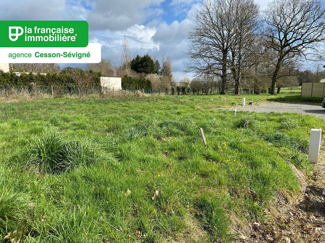 Terrain à CESSON-SEVIGNE