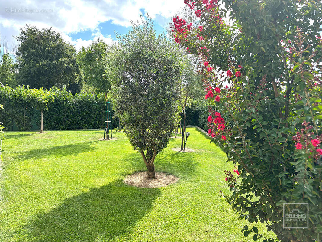 Maison à NEUVILLE-SUR-SAONE