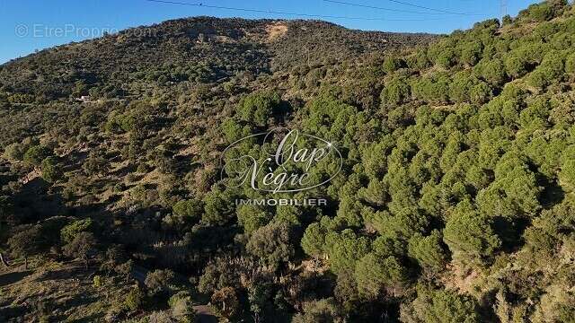 Terrain à BORMES-LES-MIMOSAS