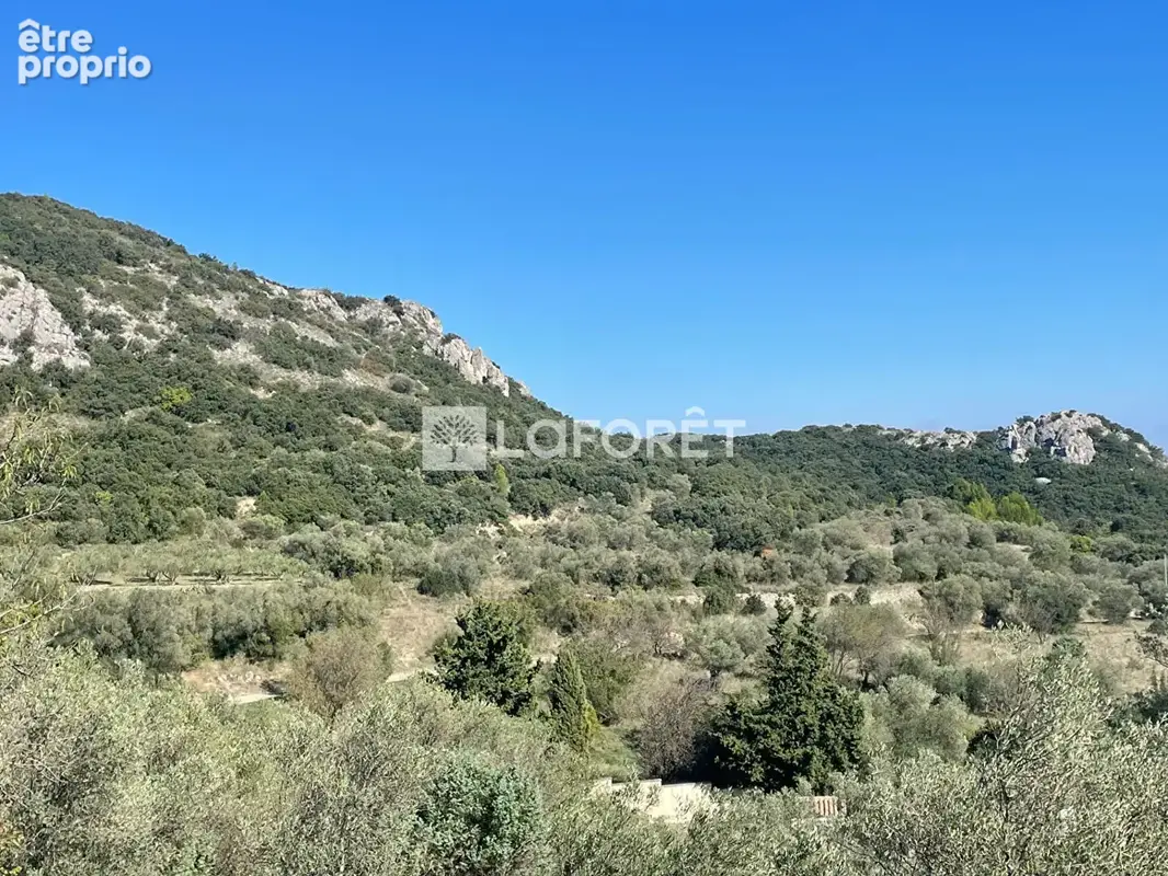 Terrain Saint-Bonnet-du-Gard 11260 m² - photo 3
