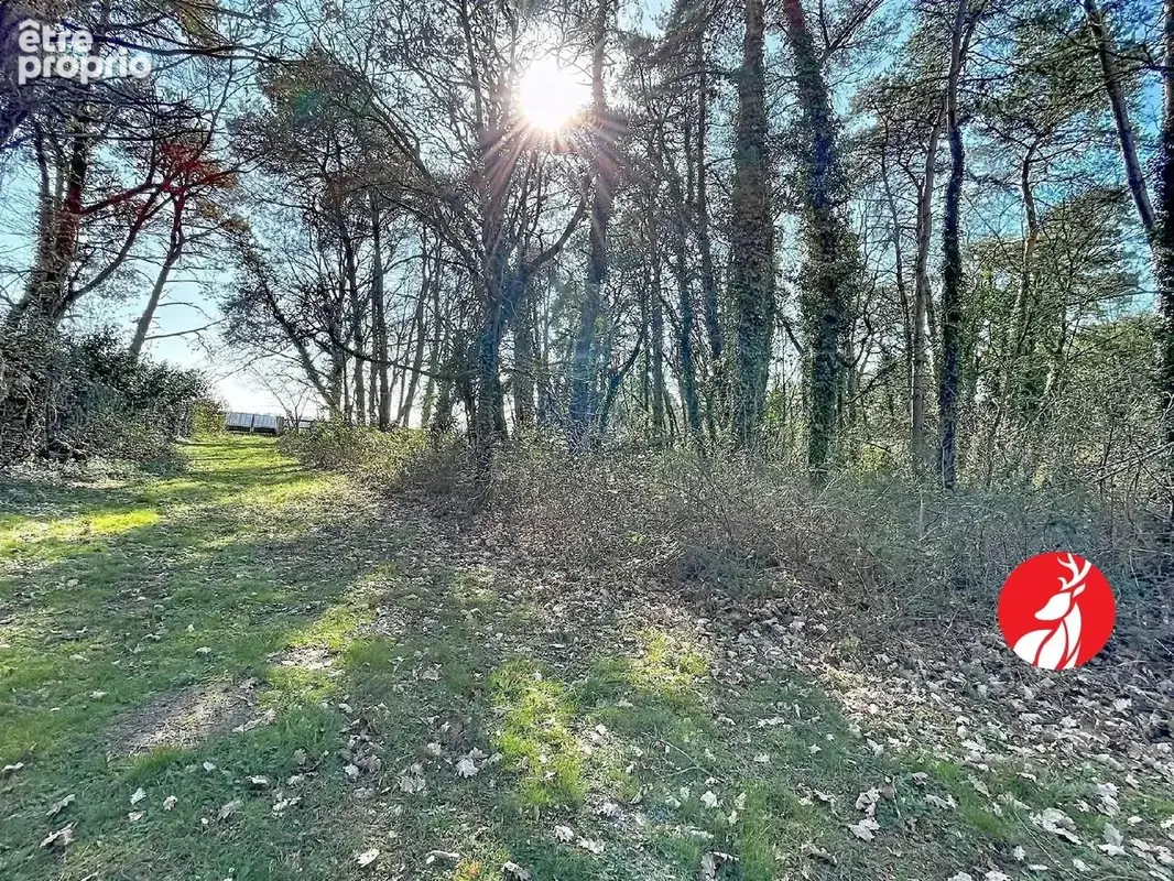 Maison 6 pièces 145 m² à vendre à Barbizon (77630) - photo 2