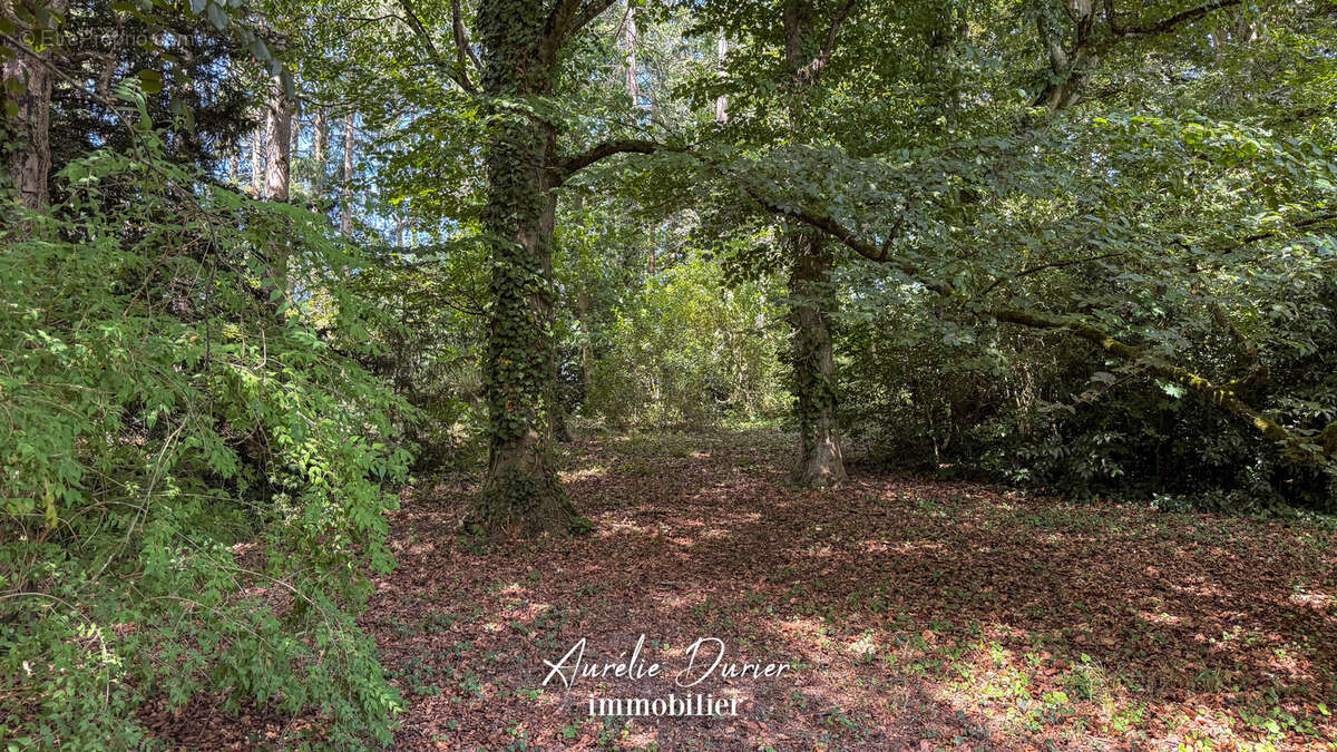 Propriété Antoinette à Cangey - A 5 minutes d'Amboise - photo 13
