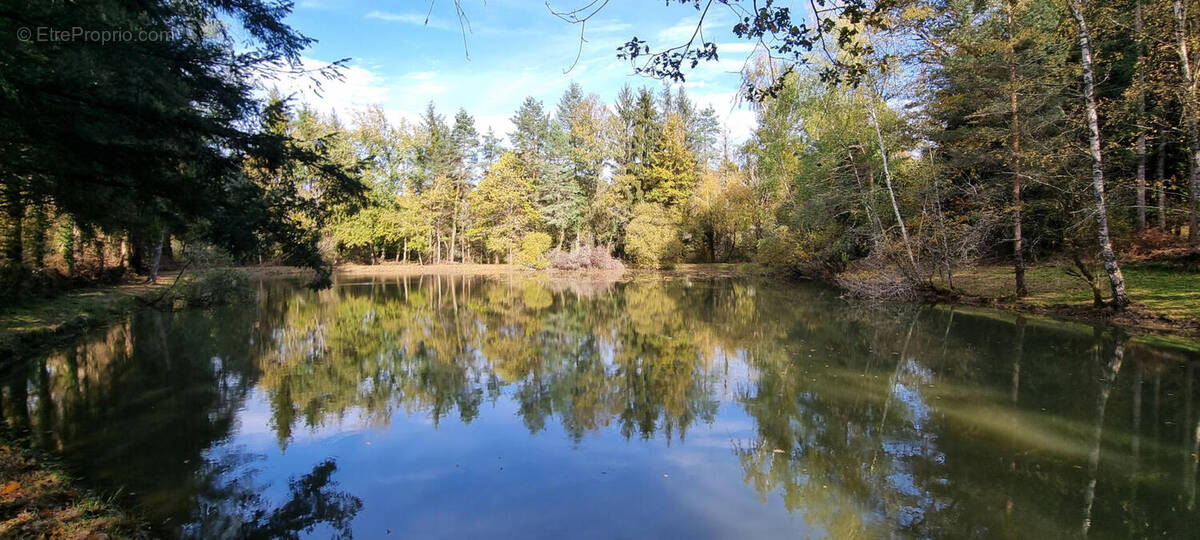 20251105_142639 - Terrain à PIEGUT-PLUVIERS