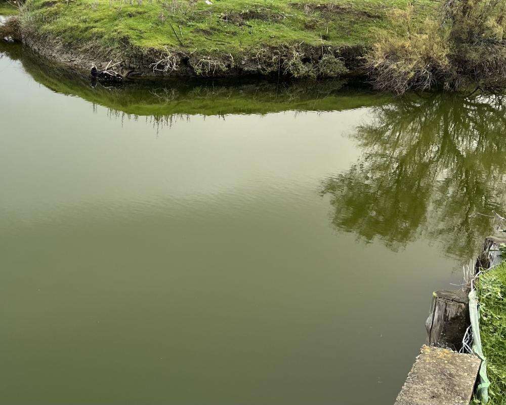 Terrain à L'ILE-D'OLONNE