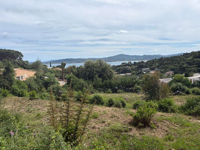 Terrain à GRIMAUD
