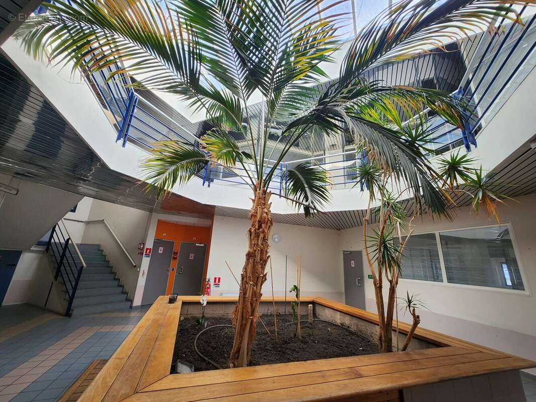 Commerce à MONTPELLIER