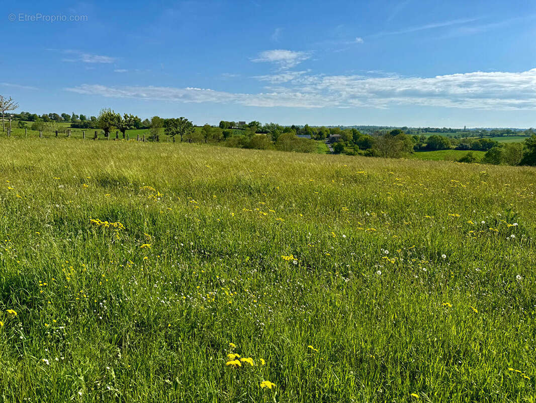 Terrain constructible 2100m2  - Sainte Juliette Sur Viaur - photo 3