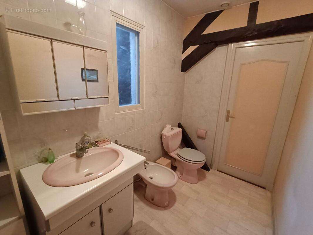 Maison à SELLES-SAINT-DENIS