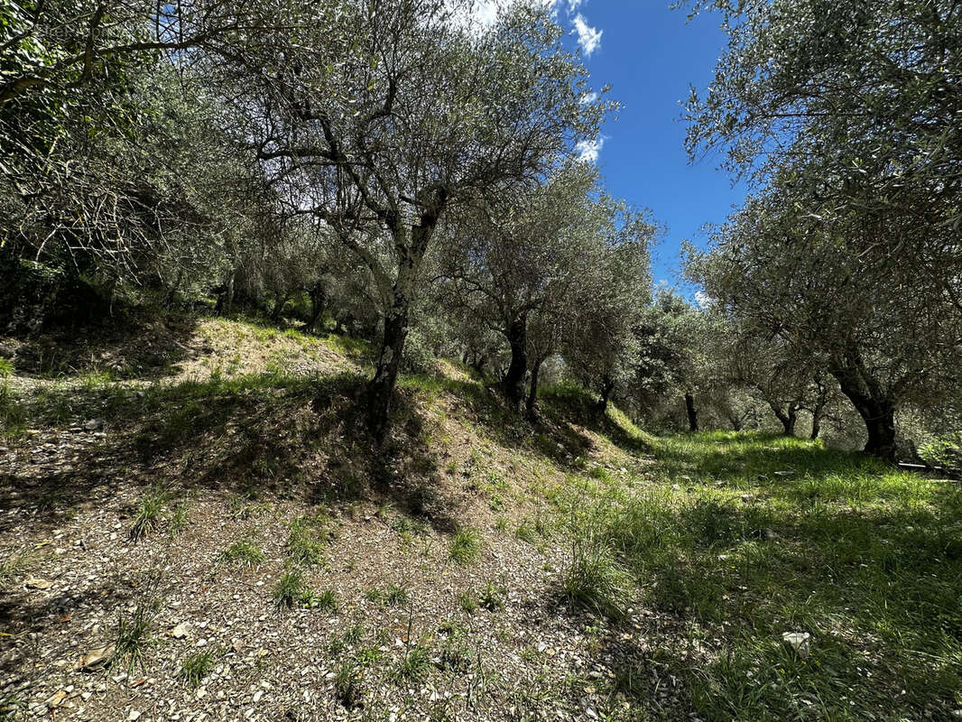 Maison à SOSPEL