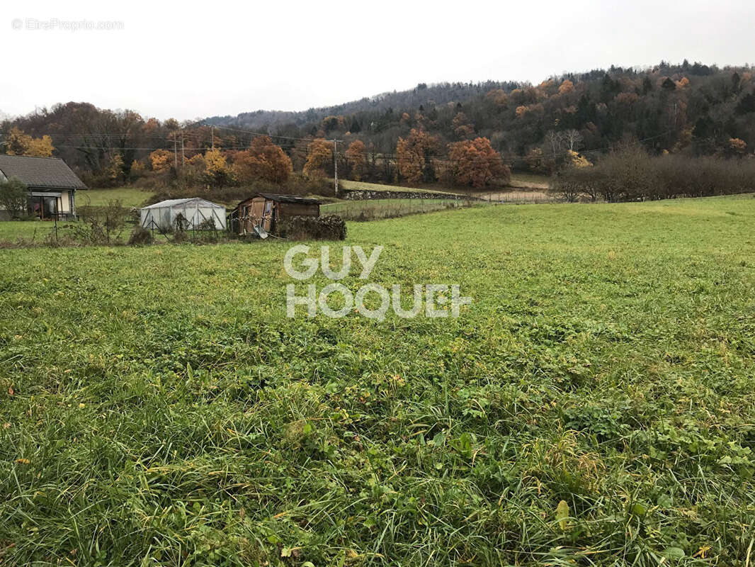 Terrain à LA CHAPELLE-BLANCHE