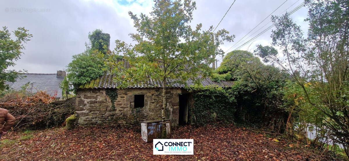 Maison à LE CLOITRE-SAINT-THEGONNEC