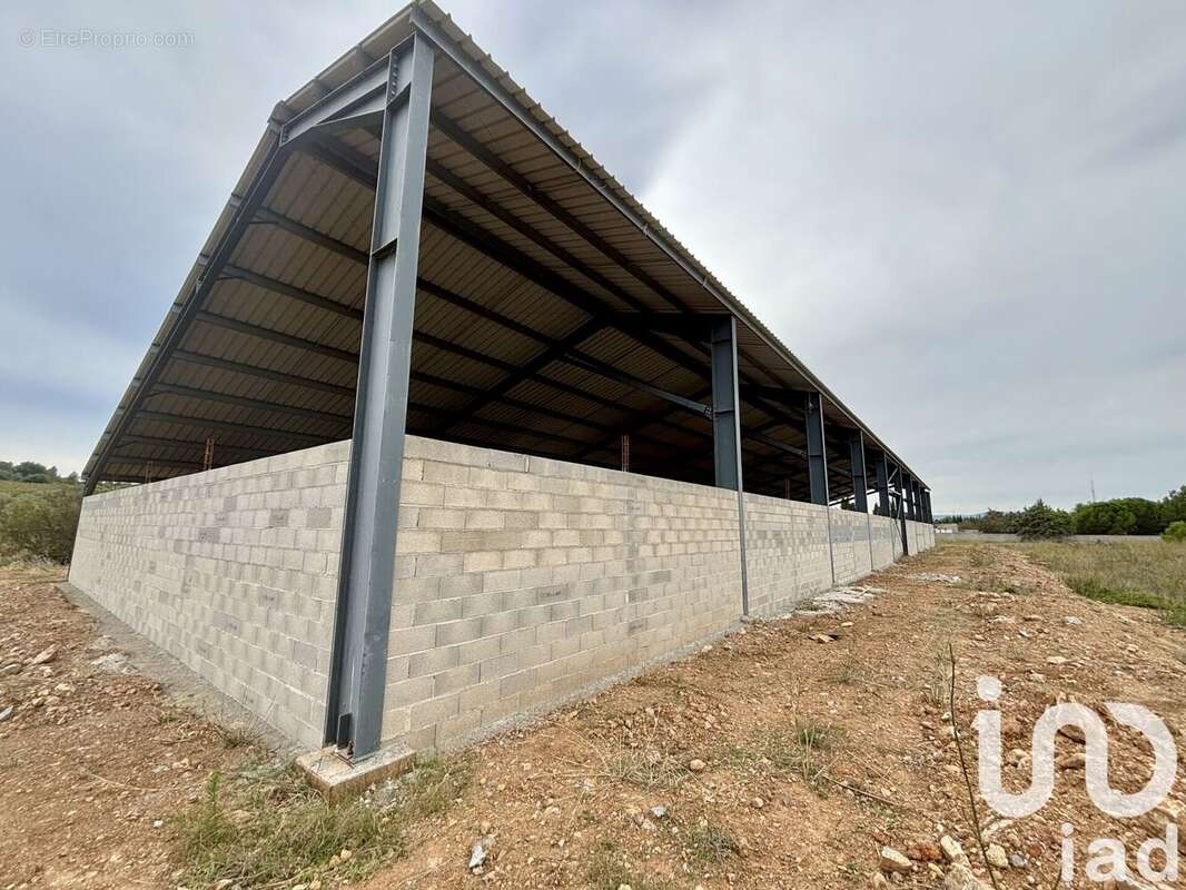 Photo 7 - Terrain à SIGEAN