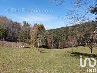 Photo 3 - Terrain à DABO