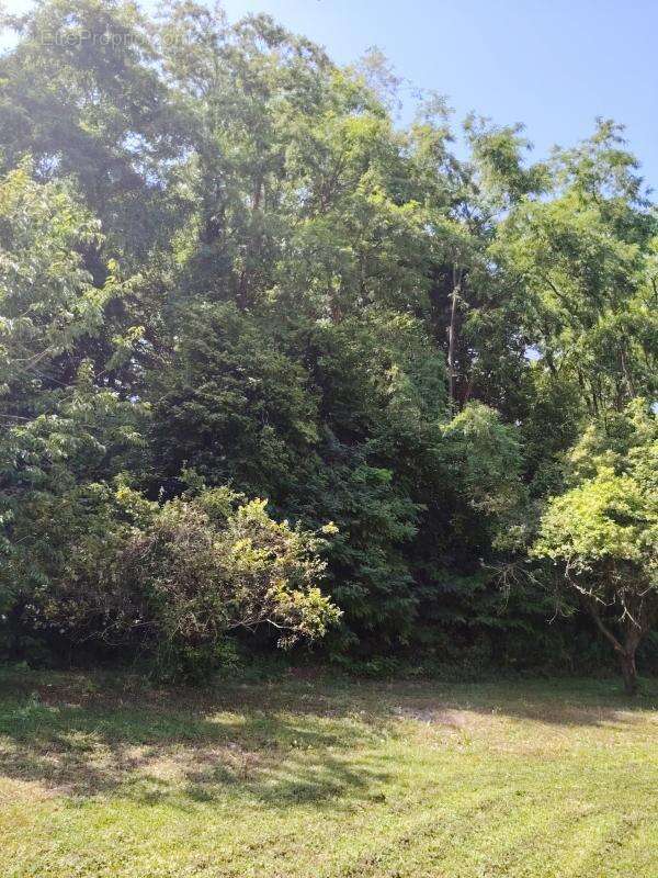 Maison à DANGE-SAINT-ROMAIN