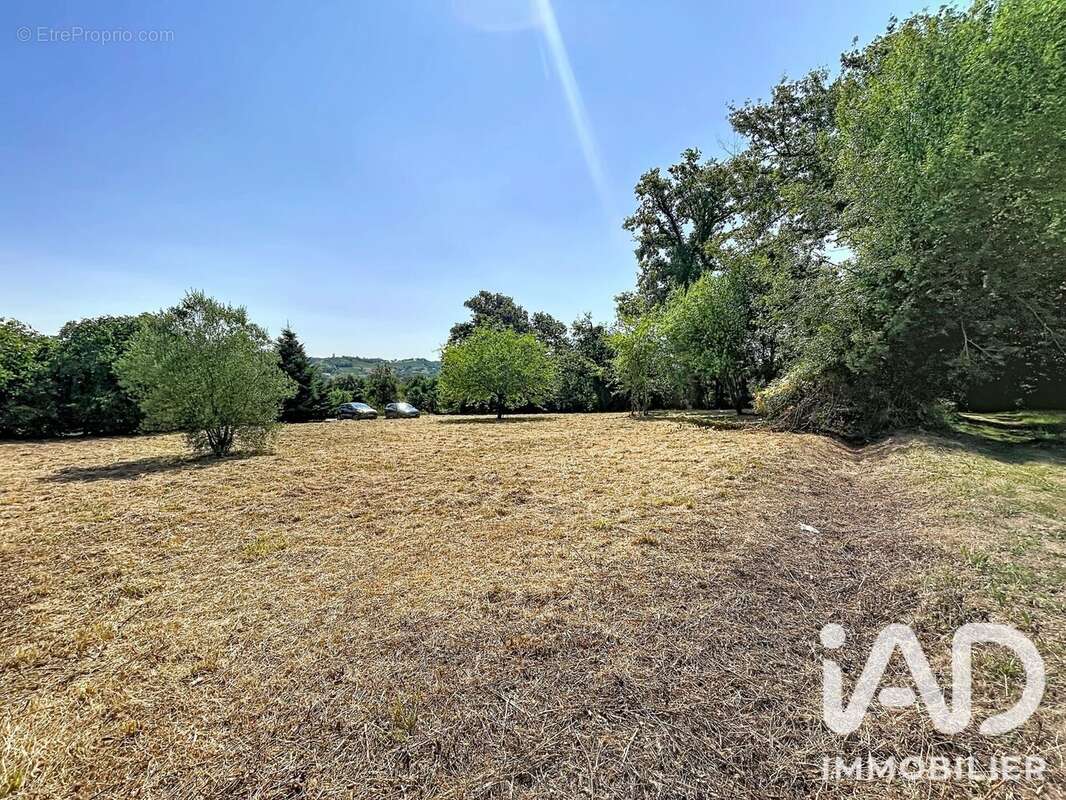 Terrain 1800 m² à Monein  - photo 6